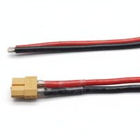 Câble de connexion JFS à 2 broches XT30 XT60 XT90 avec âme en cuivre et isolation PTFE, 300 mm, faisceau de câblage personnalisé OEM/ODM pour l'électronique