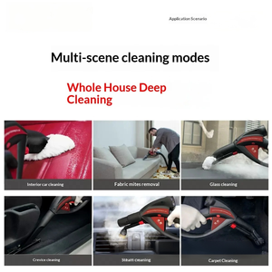 Nettoyeur Vapeur Professionnel 20kg 3000W pour Nettoyage en Profondeur des Intérieurs de Voiture, Plafonds, Tissus et Sièges en Cuir - Product Image 4