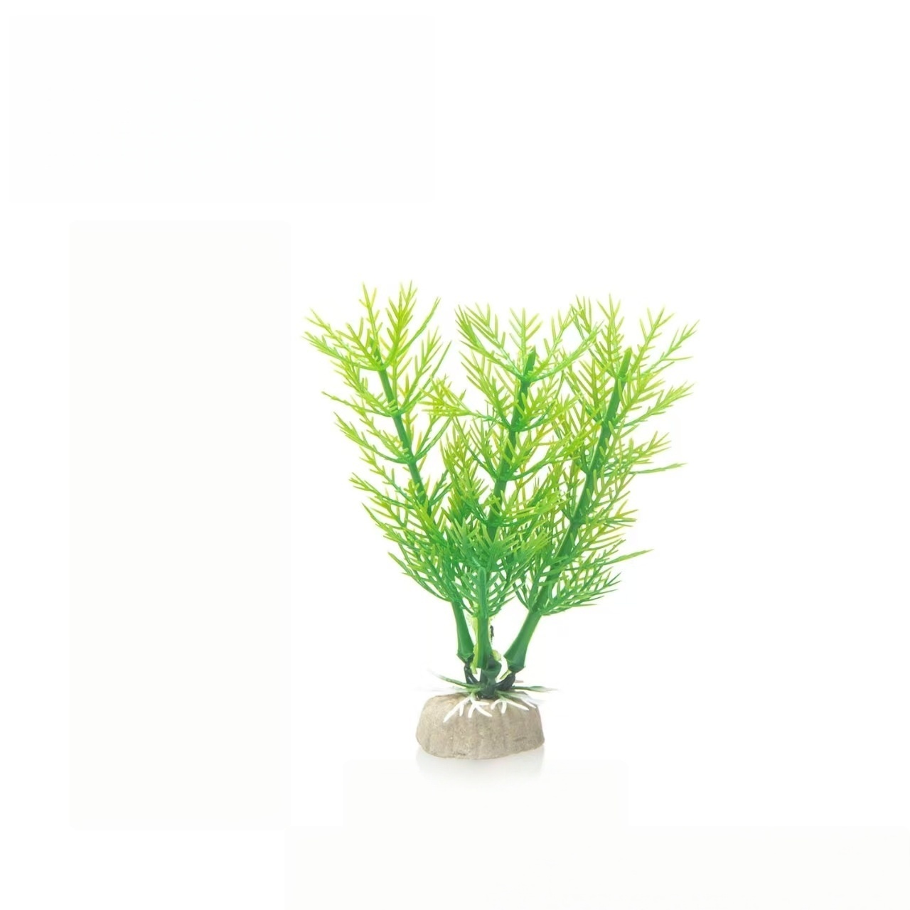 Vert-12