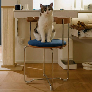 Mid-Century Dining <strong>Chair</strong> Home Foldable Solid Wood <strong>Chair</strong> Backrest <strong>Small</strong> Space Viral Retro Cafe Table <strong>Chair</strong> - Product Image 3