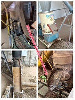 Garantía Remota para Máquina de Pellets de Madera de Grado Industrial con Gabinete de Control para Procesamiento de Biomasa