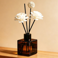 Bouteille diffuseur d'aromathérapie en verre rond en gros avec plusieurs couvercles, impression personnalisée, pour parfum d'intérieur et désodorisant, emballage de bouteille