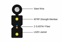 Cable de caída FTTH con conector LC SC, Cable de parche de fibra óptica para exteriores, 10m, 30m, 50m, 100m, 150m