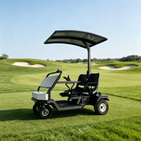 Vehículo Eléctrico de Turismo de 2 Plazas con Energía Solar Wild Blade 2026 para Uso en Parques y Transporte Turístico