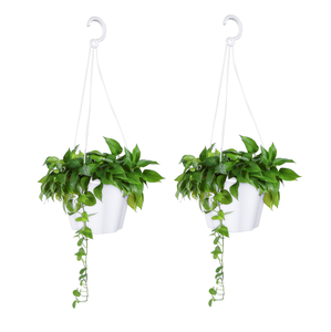 Maceta Colgante de Plástico con Forma de Tulipán, Colorida, con Gancho, para Balcón, Patio o Jardín, Tamaño Pequeño, Venta al Por Mayor - Product Image 1