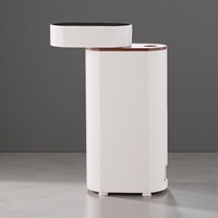 Distributeur d'eau électrique portable sans réservoir, eau chaude instantanée pour les voyages, le bureau, la maison, l'hôtel, compatible avec les bouteilles d'eau, utilisation quotidienne