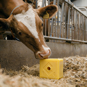 Cloruro de Sodio para Alimentación Animal, Grado Alimenticio 96% de Pureza, Suplemento Mineral para Ganado Vacuno, Ovino y Porcino - Product Image 4