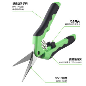 Pinheng Fruit Picking Shears 2.5cm Stainless Steel Butterfly Pruner For <b>Flower</b> Stem Cutting - Product Image 4