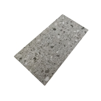 Plafond léger Isolation thermique thermique Panneaux muraux insonorisés Toiture Matériau ignifuge de haute qualité Entièrement incombustible