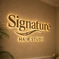 Enseigne commerciale 3D personnalisée en acier inoxydable, lettres en relief rétroéclairées par LED, logo lumineux pour bijouterie, hôtel, bureau, bar, salle de sport