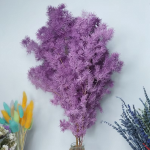 Bouquet de fleurs romantiques au toucher réel, Asparagus Myrioeladus Ming Fern préservé, éternel, DIY, Pampas, tiges en gros - Product Image 6