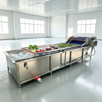 Ozonsterilisatie transportband industriële commerciële fruit- en groentewasmachine voor landbouwverwerking
