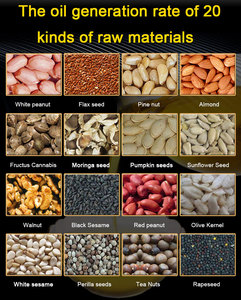 304 из нержавеющей стали, подсолнечное арахисовое оливковое кокосовое горчичное, холодное масло, пресс-машина для обработки кунжутного масла - Product Image 6