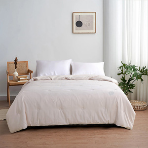 Edredón de Seda de Morera 100% Transpirable, Estilo Simple, Peso Inferior a 1 Jin, para Invierno - Product Image 1