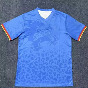 Maglia da Calcio Maschile di Alta Qualità per la Coppa d'Africa delle Nazioni 25-26, Tessuto in Poliestere, Maglietta Personalizzabile per la Coppa del Mondo 2026 - Product Image 6