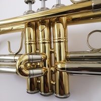 Yellow Brass Imported From Germany Bb Key Gold Lacquer Trumpet