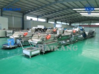 Equipo Automático para el Procesamiento de Yuca y Patata, Línea Industrial para Pelar, Cortar, Lavar y Deshidratar Remolacha y Cebolla, Procesamiento de Ensaladas