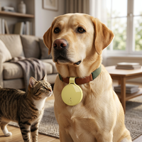Traceur GPS pour animaux de compagnie AirTag, mini localisateur intelligent anti-perte, portable, pour vélo, voiture, dispositif de positionnement anti-perte, compatible iOS, matériau ABS