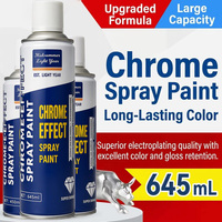 Peinture en aérosol Chrome pour surfaces métalliques, peinture liquide à base de résine laquée, couleur acier inoxydable, peinture électrolytique, peinture manuelle