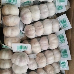 <span class=keywords><strong>Ail</strong></span> frais biologique standard, petits paquets de 3/5 pièces, tressé, pour les chaînes de distribution au détail - Product Image 2