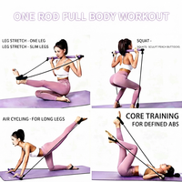 NQ SPORTS Bâton d'exercice Pilates multifonctionnel portable en TPE écologique, kit Theraband, outil de fitness yoga de haute qualité