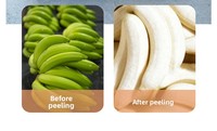 Zelfvoedende machine voor het pellen van groene bananen & plantains met eenvoudige bediening en 1 jaar garantie - Fruit & groenteverwerking