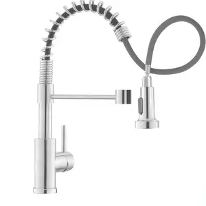 304 Stainless Steel Modern Design Kitchen Faucet Hot and Cold Mixed Spring Pull down with Ceramic Valve Core for Kitchen Sink