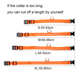 Hot Selling USB Charging <strong>Light</strong> <strong>up</strong> <strong>Dog</strong> <strong>Collar</strong> LED Pet <strong>Dog</strong> <strong>Collar</strong> and Leash Set - Product Image 4