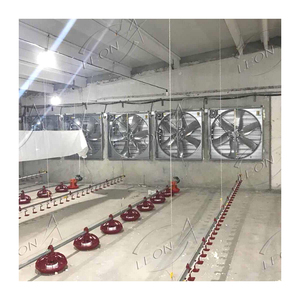 Système d'alimentation automatique pour volailles, équipement d'élevage avicole et zootechnique pour poulailler et ferme avicole - Product Image 1