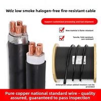 Cable de Alimentación WDZCNYJY de Bajo Humo, Libre de Halógenos, Aislado con Plástico, de 3/4/5 Núcleos, de Cobre Puro, Resistente al Fuego, de 16/25/35/50 mm