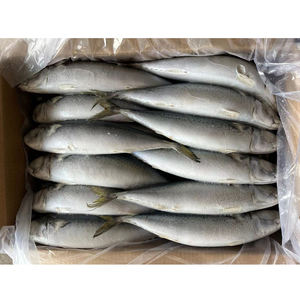 الأسماك في الشرق الأوسط-شعبية في سوق الشرق الأوسط-توريد بالجملة بسعر تنافسي - Product Image 3