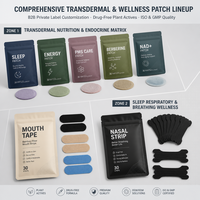Patch anti-tabac aux huiles essentielles botaniques naturelles, vente en gros directe usine, pour la relaxation quotidienne et une vie plus fraîche des fumeurs