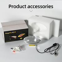 Lampe de Projection Ovale en Cristal de Haute Qualité avec Effet Angel Eyes, Base Métallique de Luxe, Lampe de Table LED à Brancher, Lampe Décorative Créative pour Bureau et Chevet