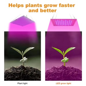 Lámpara LED de Cultivo de 45W para Todas las Plantas, Enchufe US/EU, 169 LED, Bombilla LED de 45W para Plantas, Invernaderos, Lámpara Fitoluminaria de Interior - Product Image 6