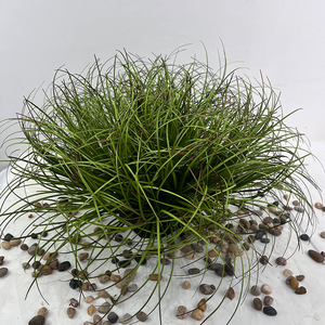 Cao Cấp Thực Tế Nhân Tạo Hành Tây Cỏ Giả Cây Xanh Nhà Máy Cho Nhà Hoặc Văn Phòng Hiển Thị Cao Cấp Hoa Nhân Tạo - Product Image 6