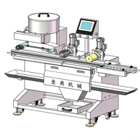 Machine industrielle automatique ADMF pour l'épandage de garniture de viande, distributeur d'assaisonnement haute efficacité pour sandwichs, idéal pour les usines de snacks