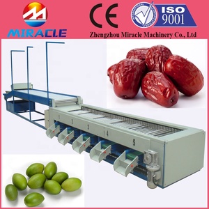Selezionatrice di olive in acciaio inossidabile per dimensione/selezionatrice per olive verdi/macchina per classificare le olive per dimensione - Product Image 4