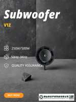 AG V12 LF Driver Interface NL4 250W/500W Plage de fréquences 50Hz-3kHz Garantie de puissance à consulter Origine CN/GUA