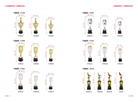 Trophée en métal argenté sur socle en plastique ou en bois noir pour les compétitions de tournois sportifs