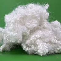 HCS Recycled Polyester Staple Fiber 7D*64 Hollow Conjugated PSF for Home Textile Stuffing
