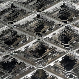 Hàng rào lưới thép mạ kẽm được sử dụng cho các khu vực kiểm soát an toàn chống leo núi đặc biệt trong các nhà tù - Product Image 6