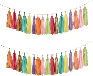 Wholesale Wedding Decoration Birthday Baby Shower Party Decoration Paper Craft Supplies Tissue Tassel Fringe Garland