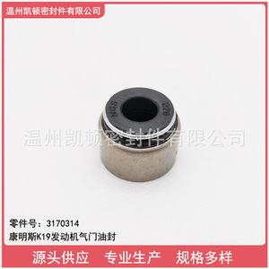 ซีลน้ำมันสำหรับเครื่องยนต์คัมมินส์ K19 หมายเลขอะไหล่ C3170134 ซีลน้ำมันและสารกัดกร่อน รูปทรงวงแหวน - Product Image 4