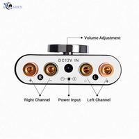 Pabrik OEM 100W Mini Power Amp 50W+50W Amplifier Audio Mobil Profesional Dengan BT5.0 Digital Stereo USB Amplifier HiFi