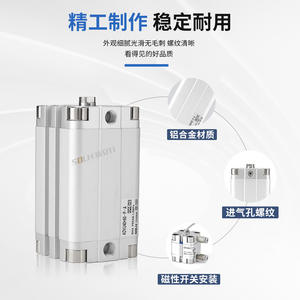 Composants principaux de la pompe à piston cylindrique mince ADVU, utilisés/neufs, construction en aluminium, tailles agricoles 12-16-20-25-32-40-50-63-80-100-A-P-A - Product Image 4