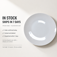 Assiettes en Porcelaine Fine Blanche en Gros – 6, 7, 8, 10 Pouces – Vaisselle de Luxe en Céramique pour Restaurants