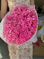 Fleur de Gypsophile Stabilisée 120 g, Vente en Gros Usine, Fleurs Séchées Naturelles, Bouquet Souffle de Bébé, Fleur de Gypsophile Florale pour Mariage