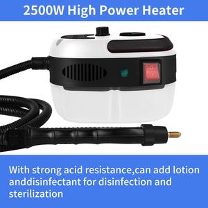 Macchina per la Pulizia a Vapore Elettrica da 2500W, Sterilizzazione ad Alta Temperatura per Condizionatore d'Aria, Cappa da Cucina, Auto, Macchina Pulitrice a 220V - Product Image 5