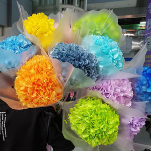 도매 자연 신선한 수국 보존 꽃과 식물 가정 장식 꽃 핑크 흰색 보존 수국 - Product Image 6