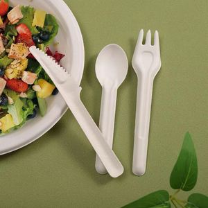 Juego de cubiertos personalizados de bagazo de caña de azúcar, seguros para el contacto, de alta dureza, biodegradables y compostables (cuchillo, tenedor, cuchara) para el mercado alimentario global - Product Image 4